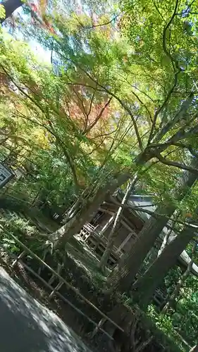 中尊寺(岩手県)