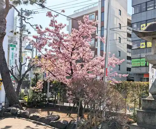 桜神宮(東京都)