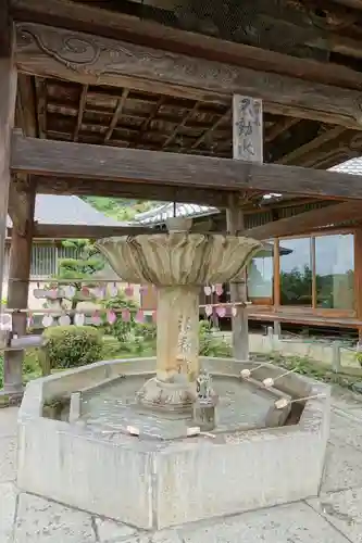 三室戸寺の手水舎