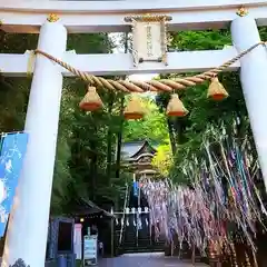 宝登山神社の鳥居