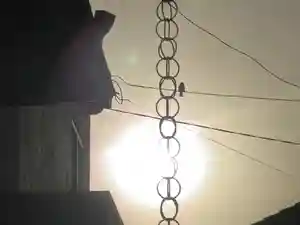 西方山極楽寺(岐阜県)(2026年02月25日(水) 00時07分58秒投稿)