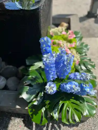 上尾御嶽神社の手水