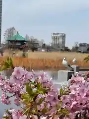 寛永寺不忍池弁天堂(東京都)