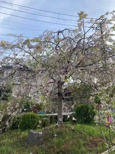 東光寺（観音堂）(神奈川県)