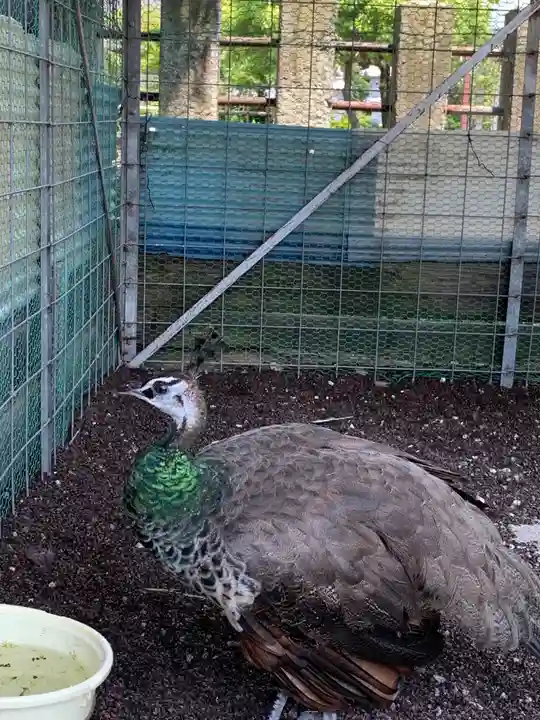 福井県護国神社(福井県)