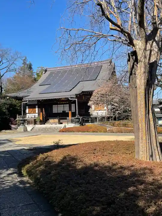 福蔵院(東京都)