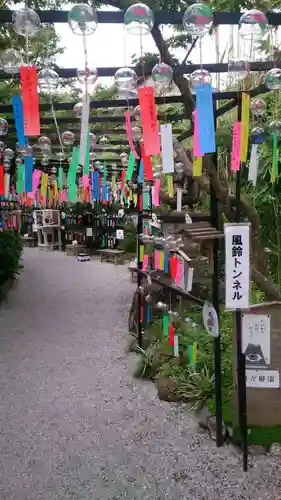 三井寺（平等寺）の自然