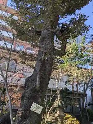 願行寺(東京都)