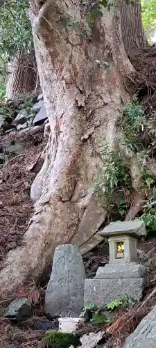 天照御祖神社の{uncategorized: "未分類", other: "その他", undefined: "問題あり", building: "その他建物", grave: "お墓", sacred_gate: "鳥居", guardian: "狛犬", statue: "像", buddha: "仏像", history: "歴史", nature: "自然", garden: "庭園", animal: "動物", pagoda: "塔", temizu: "手水舎", mountain_gate: "山門・神門", sanctuary: "本殿・本堂", subordinate: "末社・摂社", art: "芸術", scenery: "景色", jizo: "地蔵", ema: "絵馬", goshuin: "御朱印", omikuji: "おみくじ", items: "授与品その他", amulet: "お守り", goshuincho: "御朱印帳", eats: "食事", festival: "お祭り", votive_dance: "神楽", shichigosan: "七五三参", wedding: "結婚式", experience: "体験その他", initially: "初詣", around: "周辺", anti_infection: "感染症対策"}