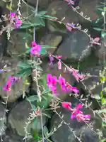 国宝 大法寺の自然