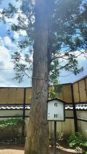 観世寺(福島県)