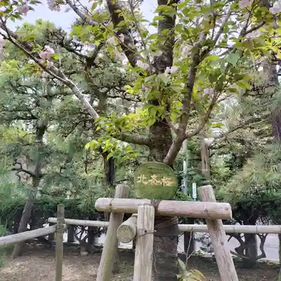 鶴嶺八幡宮(神奈川県)