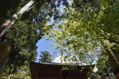 比叡山延暦寺の末社・摂社