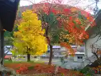 春日神社の自然