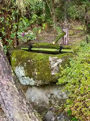 隨心院(随心院)(京都府)