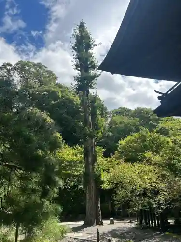 慈雲寺(長野県)