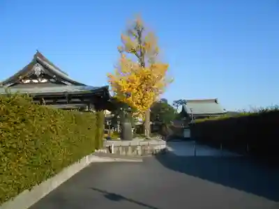 慈眼寺のその他建物