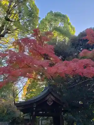 渋谷氷川神社(東京都)