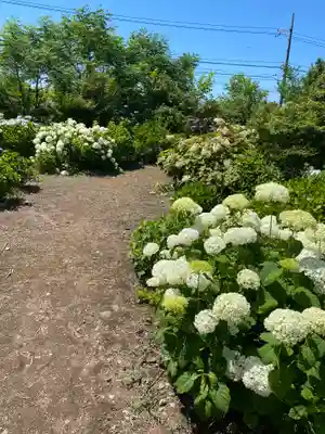 大神山神社本宮(鳥取県)