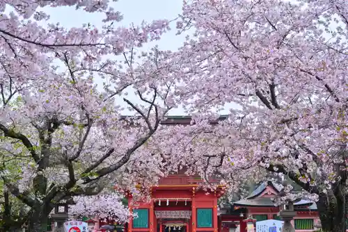 富士山本宮浅間大社(静岡県)