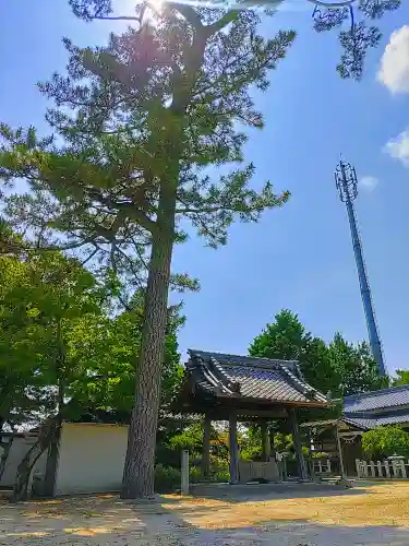 天満神社（鷲塚天満神社）の手水舎