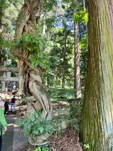 白河神社(福島県)