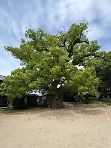 糸碕神社(広島県)