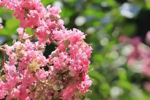 岩船寺(京都府)