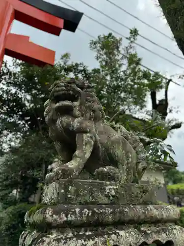 宇治神社の狛犬