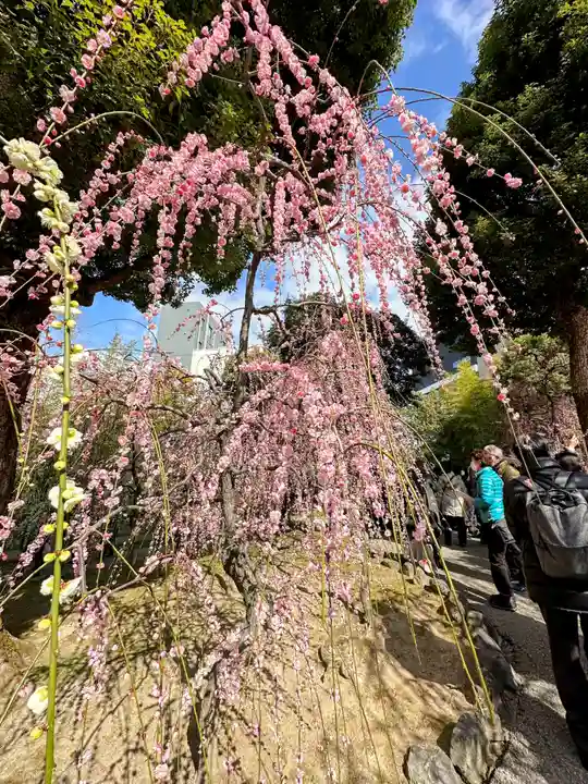 城南宮(京都府)