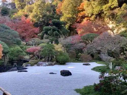 報国寺の庭園