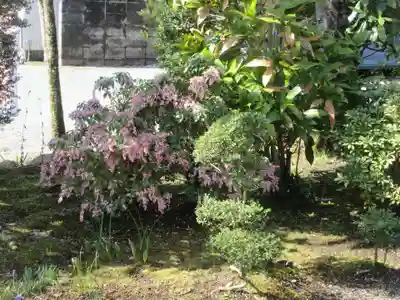 円通寺(神奈川県)