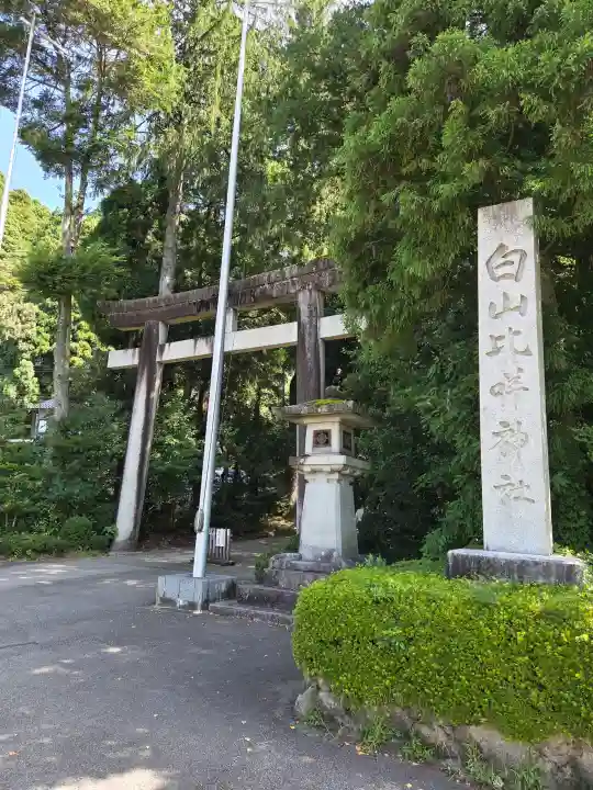 白山比咩神社の{uncategorized: "未分類", other: "その他", undefined: "問題あり", building: "その他建物", grave: "お墓", sacred_gate: "鳥居", guardian: "狛犬", statue: "像", buddha: "仏像", history: "歴史", nature: "自然", garden: "庭園", animal: "動物", pagoda: "塔", temizu: "手水舎", mountain_gate: "山門・神門", sanctuary: "本殿・本堂", subordinate: "末社・摂社", art: "芸術", scenery: "景色", jizo: "地蔵", ema: "絵馬", goshuin: "御朱印", omikuji: "おみくじ", items: "授与品その他", amulet: "お守り", goshuincho: "御朱印帳", eats: "食事", festival: "お祭り", votive_dance: "神楽", shichigosan: "七五三参", wedding: "結婚式", experience: "体験その他", initially: "初詣", around: "周辺", anti_infection: "感染症対策"}