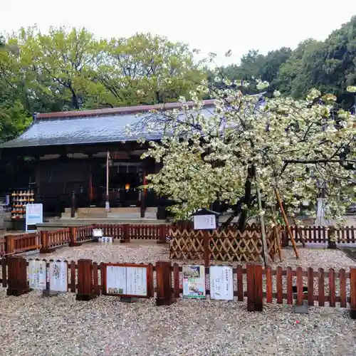 上地八幡宮(愛知県)