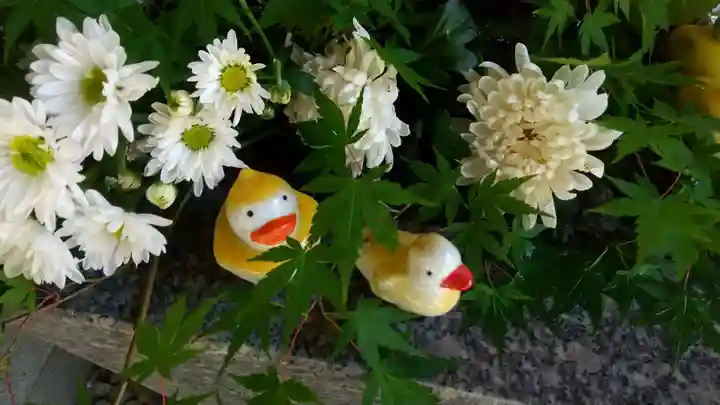 滑川神社 - 仕事と子どもの守り神の手水舎
