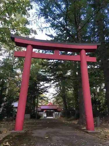 倶知安神社の鳥居