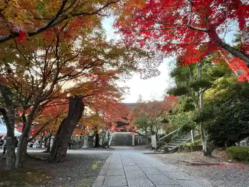 光明寺（粟生光明寺）(京都府)