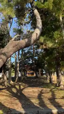 神山稲荷神社(北海道)