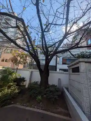 竜宝寺(東京都)