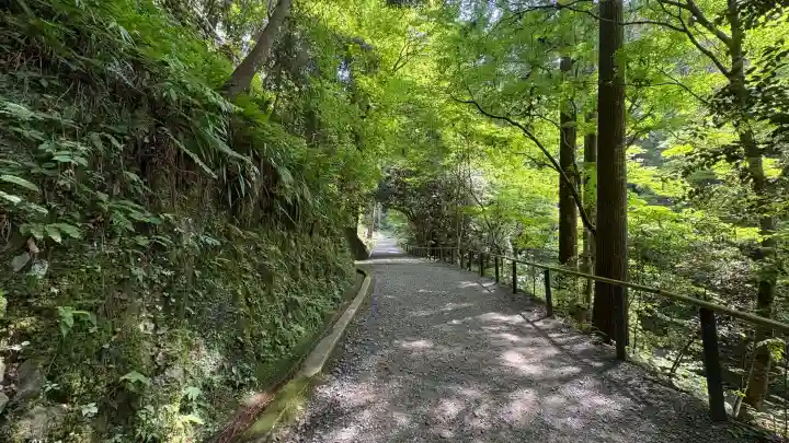 鞍馬寺(京都府)