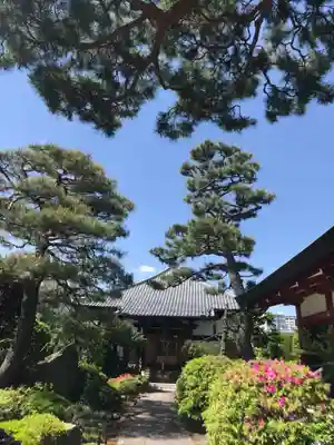 善明寺の庭園