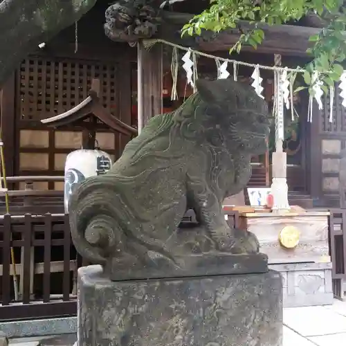 白髭神社の狛犬