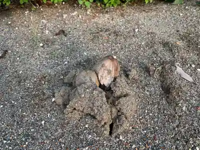 白幡神社(千葉県)