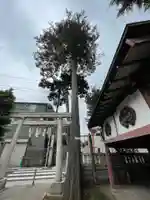 菅原神社の自然