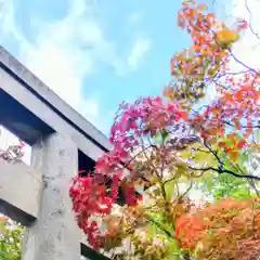 彌彦神社　(伊夜日子神社)(北海道)