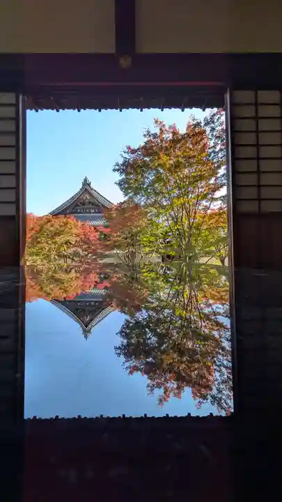妙覺寺(妙覚寺)(京都府)
