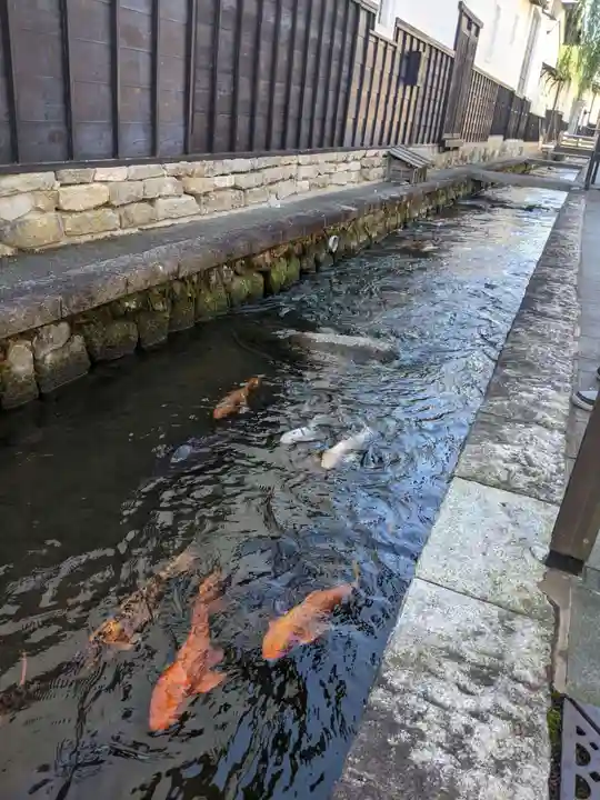 気多若宮神社の動物