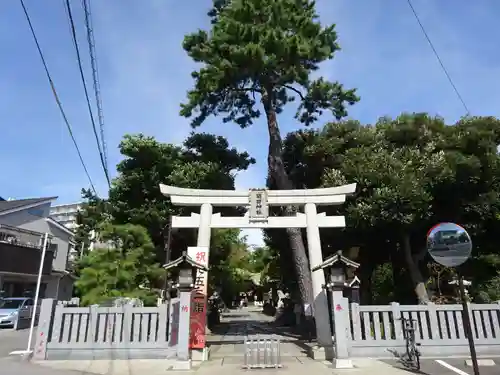 菊田神社の鳥居