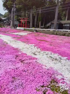 戸隠神社(岐阜県)