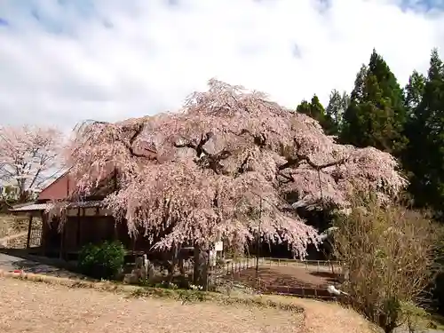 西光寺(奈良県)